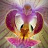 Фото профиля 🌹🌻🌼🌷NEWNIL🌷🌼🌻🌹
