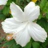 T. Ansari.M's profile picture