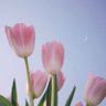 M profil fotoğrafı