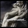 O pai tá calvo's profile picture