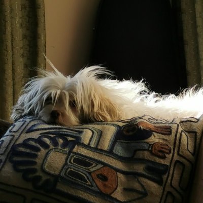 caos_desorden's profile picture