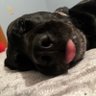 Shamrock 🍀's profile picture
