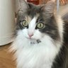 りこ profil fotoğrafı