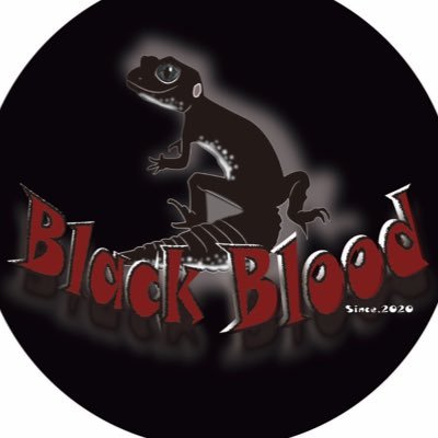 Naoreptiles408's profile picture
