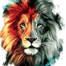 MS7's profile picture