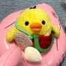 こもも(抱雛中) 的头像