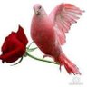 مصر جميلة 🌷 的头像