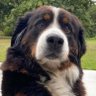 Profilbild von Sam