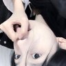 Profilbild von Yu