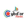 Cybd'or_Forex 📊🇧🇯 profil fotoğrafı