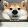 VK profil fotoğrafı