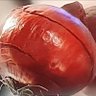 Corrie Red Onion's profile picture