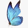 الـ๛ـﻣـٵ's profile picture