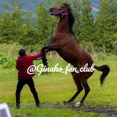 組)馬主組合みすじの会's profile picture