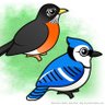 Фото профиля Robin