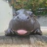Profilbild von カモノハシペギー狭山