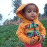 Adv ANIL CHAUHAN's profile picture