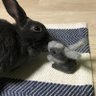 わかたん 的头像