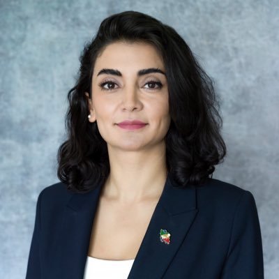 MaryBanihashemi's profile picture