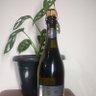 Wine Ecommerce G Center 的头像