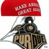 DJT Q Devolution's profile picture