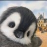 林's profile picture