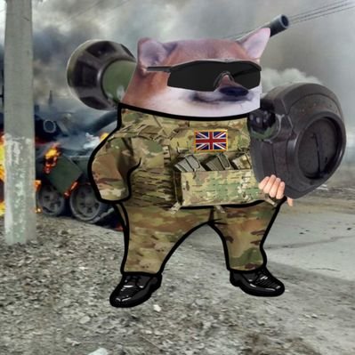 Clarefella 🇬🇧🤝🏻🇺🇦's profile picture