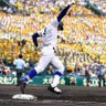 日本の野球少年's profile picture