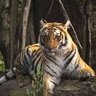 Suchita's profile picture