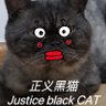 Profilbild von justice blackCAT🇨🇳❤️🇺🇸❤️🇷🇺