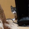 マサと profil fotoğrafı
