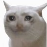 Profilbild von Pornlycats