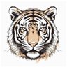 UXtigers profil fotoğrafı