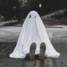 Profilbild von The Ghosts of Squirrel & Raccoon