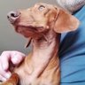 Profilbild von Jorge