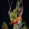 Фото профиля Hernán Esquivel