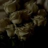 Somo🥀's profile picture