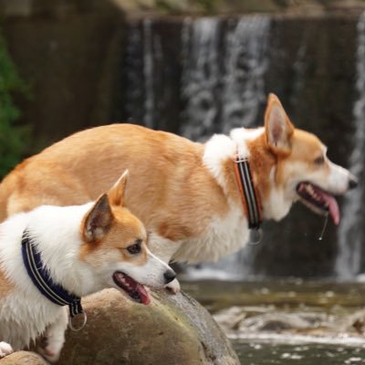 jinnyi01's profile picture