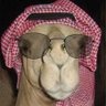 Фото профиля حمد الحربي
