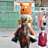 ニューはむたろう profil fotoğrafı