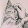 Profilbild von ∆Π|{