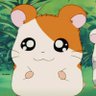 hamtaro♡'s profile picture