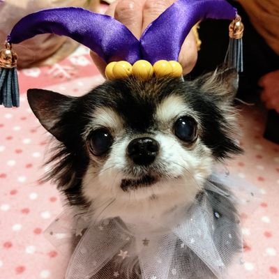 otapoke0303's profile picture