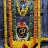 Shambo Shankara's profile picture