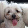 Profilbild von i