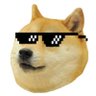 cryptodoge 的头像