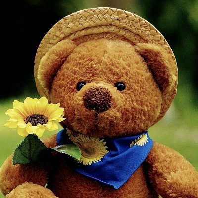 EggertHeiko's profile picture
