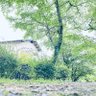 『わたる』's profile picture