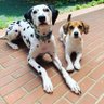 ERI@HAPPY ACE!👾🐥 profil fotoğrafı