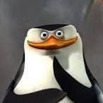 SkiperAdmiral's profile picture